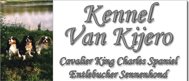Kennel Van Kijero - Cavalier King Charles Spaniel - Entlebucher Sennenhond